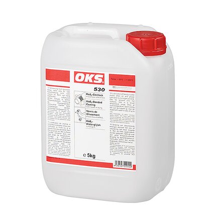 Exemplaire exposé: OKS 530, MoS 2-Gleitlack Wasserbasis (Kanister)