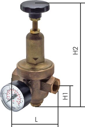 Exemplary representation: Standard pressure reducer