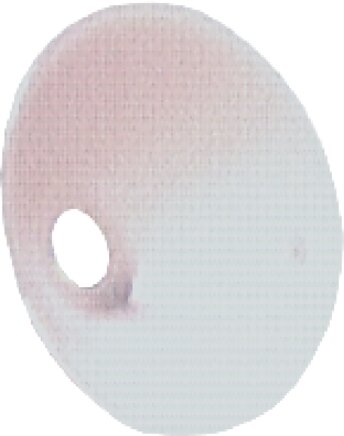 Voorbeeldig Afbeelding: Kunststof beschermbord voor sproeikoppen met blaaspistolen